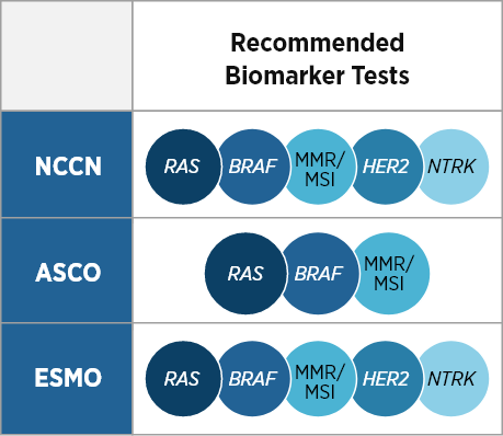 Major international clinical practice guidelines recommend testing patients with mCRC for clinically relevant biomarkers