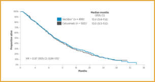 Overall survival in paents with chemorefractory WT KRAS† mCRC graph